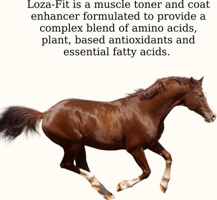 Show full view: Semican Loza-Fit Muscular Support Powder Horse Supplement, 13-lb bag slide 2 of 5