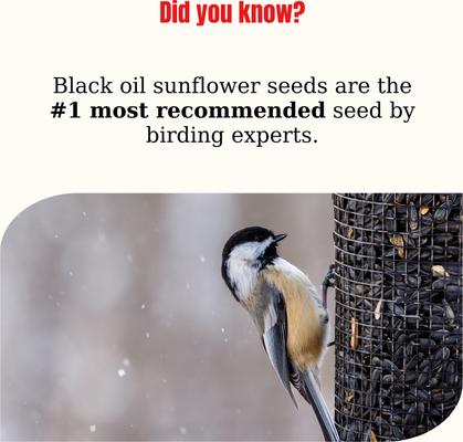 Show full view: Semican Black Oil Sunflower Wild Bird Food, 20-lb bag slide 3 of 3