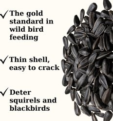 Semican Black Oil Sunflower Wild Bird Food, 20-lb bag slide 2 of 3
