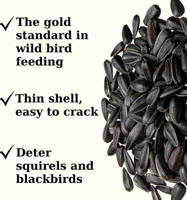 Show full view: Semican Black Oil Sunflower Wild Bird Food, 20-lb bag slide 2 of 3