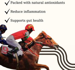 Semican Non-GMO Hullfree Oats Turcotte Horse Feed, 50-lb bag slide 2 of 7