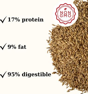 Show full view: Semican Non-GMO Hullfree Oats Turcotte Horse Feed, 50-lb bag slide 2 of 7