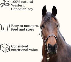 Semican Non-GMO Regular Size Timothy/Alfalfa Cubes Horse Feed, 50-lb bag slide 2 of 5