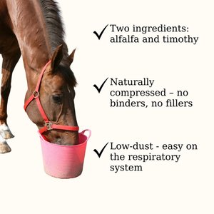 Semican Non-GMO Mini Size Timothy/Alfalfa Cubes Horse Feed, 50-lb bag