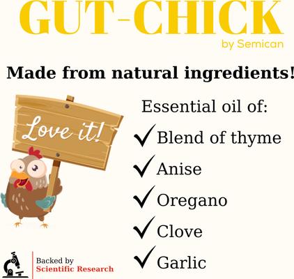 Show full view: Semican Gut-Chick Liquid Digestive Supplement for Poultry, 16-fl oz bottle slide 4 of 7