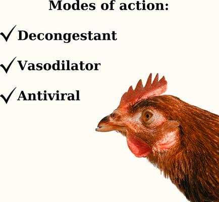 Show full view: Semican Respi-Chick Liquid Respiratory Supplement for Poultry, 16-fl oz bottle slide 3 of 6