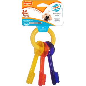 Nylabone Just for Puppies Teething Chew Toy Keys Bacon, Small