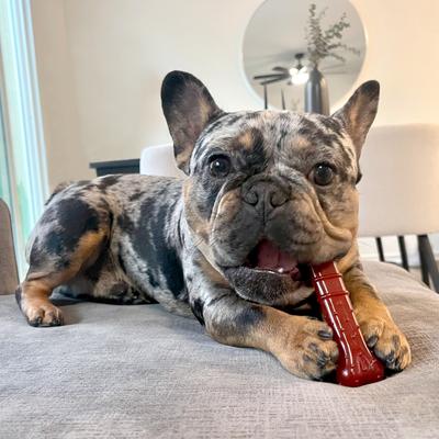 Show full view: Nylabone Power Chew Basted Blast Dual Flavored Dog Chew Toys, Medium slide 3 of 13