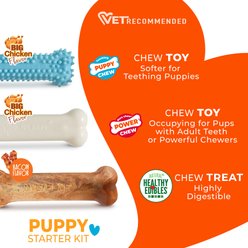Nylabone Puppy Chew Variety Toy & Treat Triple Pack Blue, Small slide 2 of 8