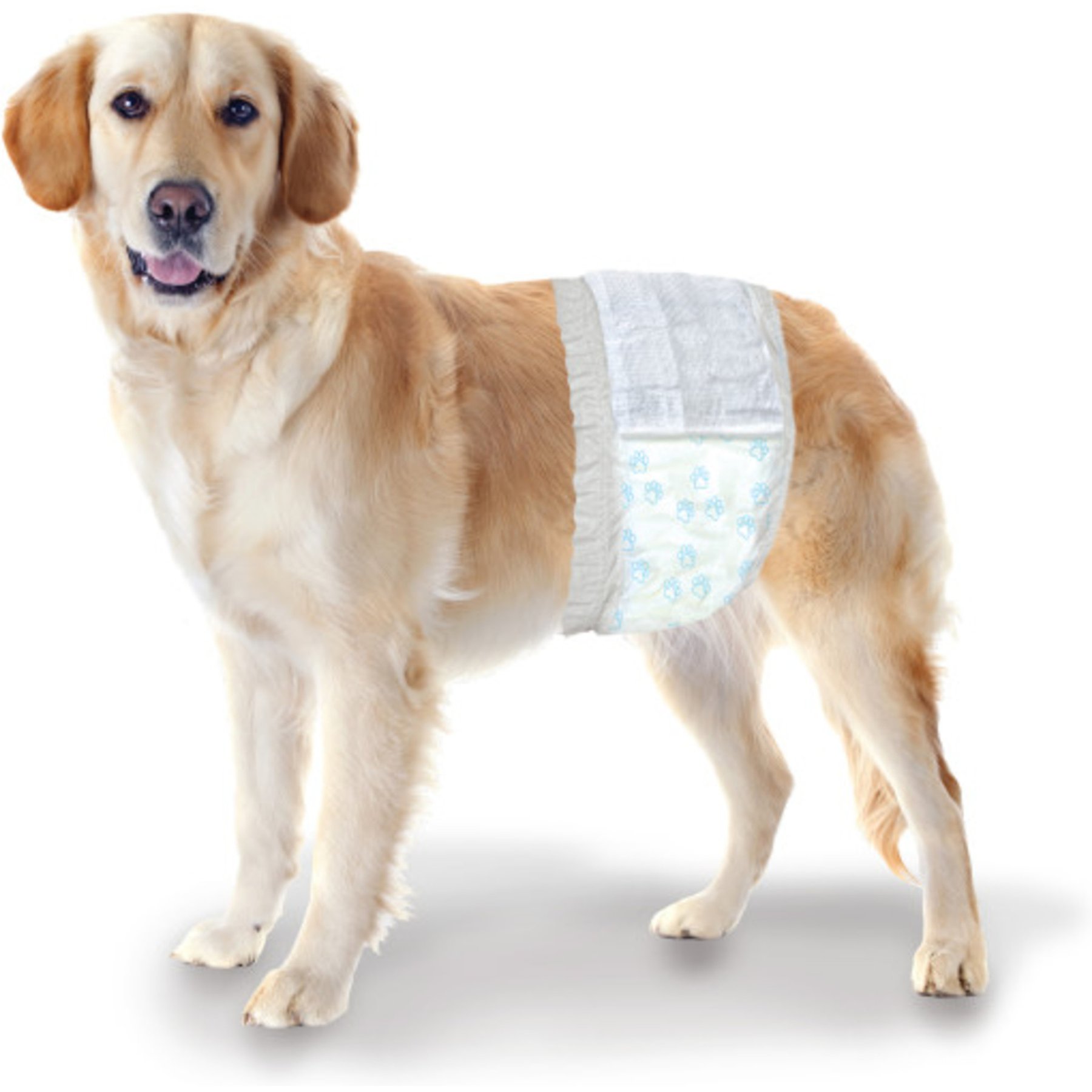 Wee-Wee Disposable Male Dog Wraps, Medium/Large: 23 to 31-in waist, 24 count bundle