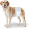 Show in main carousel: Wee-Wee Disposable Male Dog Wraps, Medium/Large: 23 to 31-in waist, 24 count slide 3 of 12