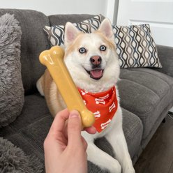 Nylabone Power Chew Peanut Butter Flavored Dog Chew Toy, Medium slide 2 of 8