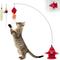 Show in main carousel: Migipaws Dancing Teaser Motion Cat Toy with Catnip, Red, Dia: 2.76 x 7.08-in slide 1 of 8