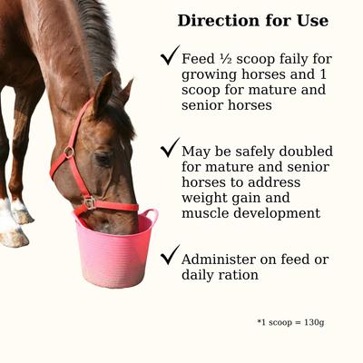 Show full view: Semican Loza-Fit Muscular Support Powder Horse Supplement, 13-lb bag slide 5 of 5