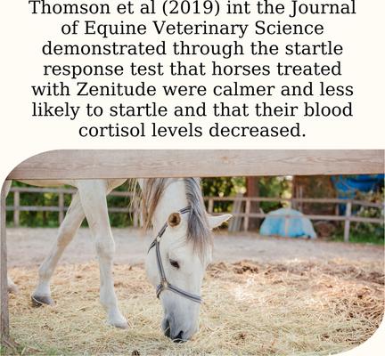 Show full view: Semican Zenitude EQ Calming Powder Horse Supplement, 3-lb bag slide 4 of 5