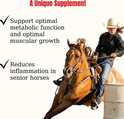 Show full view: Semican Loza-Fit Muscular Support Powder Horse Supplement, 13-lb bag slide 3 of 5