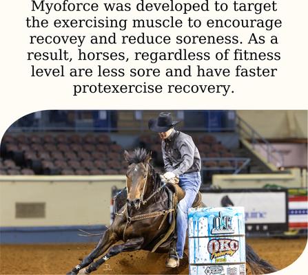 Show full view: Semican Myoforce Resist Muscular Recovery Powder Horse Supplement, 10-lb bag slide 4 of 5