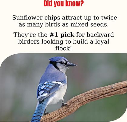 Show full view: Semican Coarse Sunflower Chips Wild Bird Food, 25-lb bag slide 3 of 3