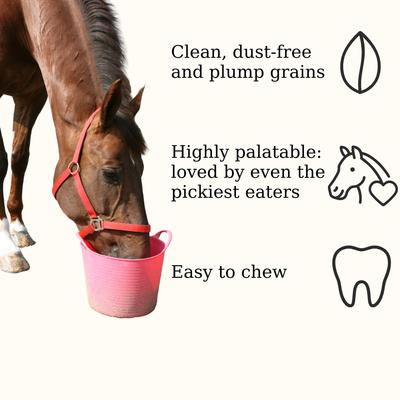 Show full view: Semican Non-GMO Golden Select Crimped Oats Horse Feed, 50-lb bag slide 4 of 5