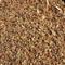 Show in main carousel: Semican Ground Flax Horse Feed, 50-lb bag slide 1 of 2