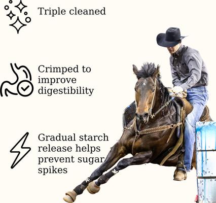 Show full view: Semican Non-GMO Golden Select Crimped Oats Horse Feed, 50-lb bag slide 3 of 5