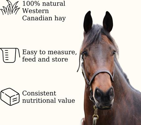 Show full view: Semican Non-GMO Timothy Pellets Horse Feed, 50-lb bag slide 3 of 6