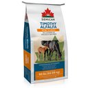 Semican Non-GMO Mini Size Timothy/Alfalfa Cubes Horse Feed, 50-lb bag