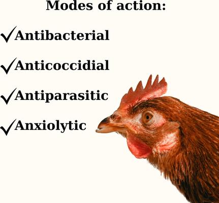 Show full view: Semican Gut-Chick Liquid Digestive Supplement for Poultry, 16-fl oz bottle slide 3 of 7