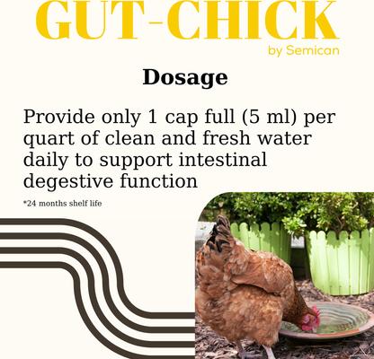 Show full view: Semican Gut-Chick Liquid Digestive Supplement for Poultry, 16-fl oz bottle slide 7 of 7