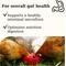 Show in main carousel: Semican Gut-Chick Liquid Digestive Supplement for Poultry, 16-fl oz bottle slide 5 of 7