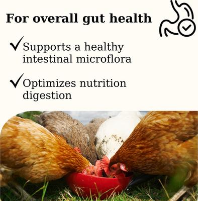 Show full view: Semican Gut-Chick Liquid Digestive Supplement for Poultry, 16-fl oz bottle slide 5 of 7