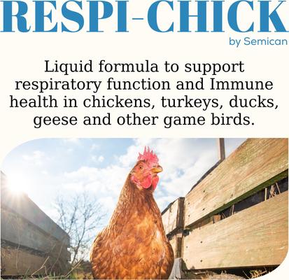 Show full view: Semican Respi-Chick Liquid Respiratory Supplement for Poultry, 16-fl oz bottle slide 2 of 6