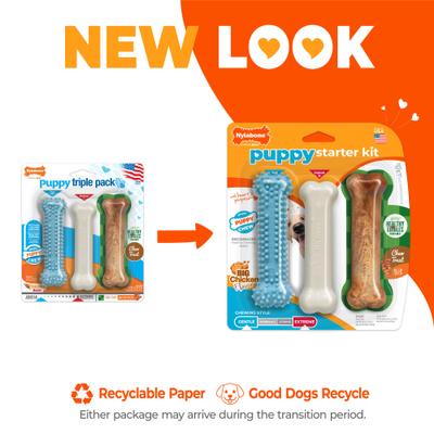 Show full view: Nylabone Puppy Chew Variety Toy & Treat Triple Pack Blue, Small slide 2 of 12