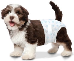 Four Paws Wee-Wee Disposable Dog Diapers, X-Small, 12 count