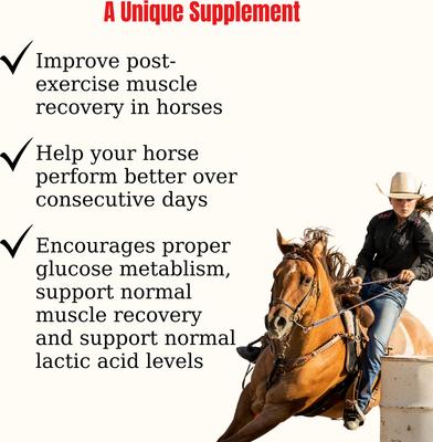 Show full view: Semican Myoforce Resist Muscular Recovery Powder Horse Supplement, 10-lb bag slide 3 of 5