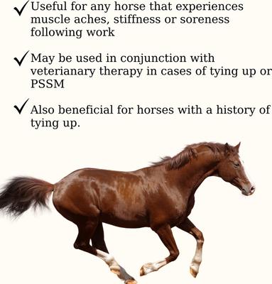 Show full view: Semican Myoforce Resist Muscular Recovery Powder Horse Supplement, 10-lb bag slide 2 of 5