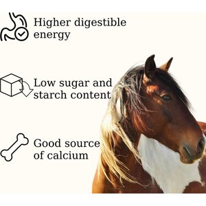 Semican Non-GMO Mini Size Timothy/Alfalfa Cubes Horse Feed, 50-lb bag