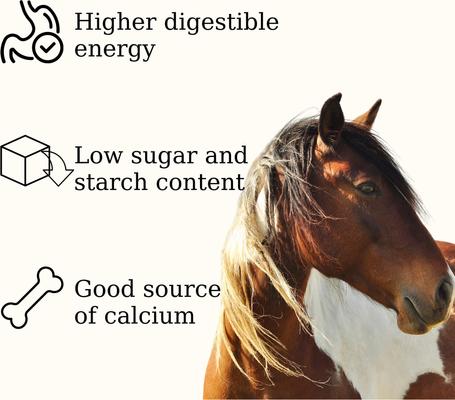 Show full view: Semican Non-GMO Mini Size Alfalfa Cube Horse Feed, 50-lb bag slide 5 of 6