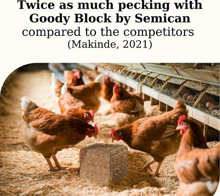 Show full view: Semican Goody Block Mineral & Protein Chicken Treat, 4.4-lb block slide 5 of 5