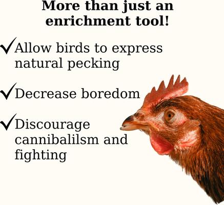 Show full view: Semican Goody Block Mineral & Protein Chicken Treat, 4.4-lb block slide 3 of 5