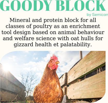 Show full view: Semican Goody Block Mineral & Protein Chicken Treat, 4.4-lb block slide 2 of 5