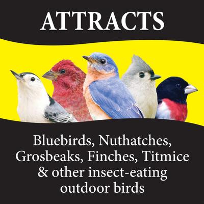 Show full view: Wild Delight Bugs N' Berries Wild Bird Food, 4.5-lb bag slide 3 of 7