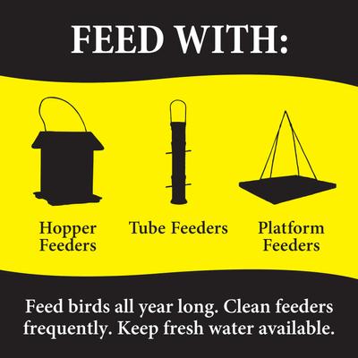 Show full view: Wild Delight Bugs N' Berries Wild Bird Food, 4.5-lb bag slide 6 of 7