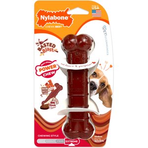 Nylabone Power Chew Basted Blast Dual Flavored Dog Chew Toys, Medium