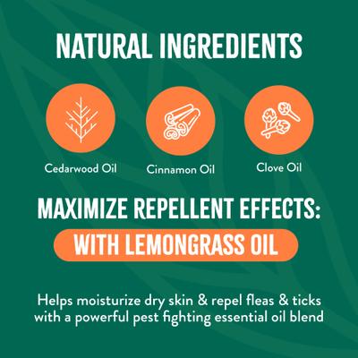 Show full view: TropiClean Natural* Flea + Tick Easy Mist Spray for Dogs, 14-fl oz bottle slide 4 of 8