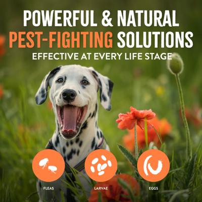 Show full view: TropiClean Natural* Flea + Tick Laundry Additive, 32-fl oz bottle slide 6 of 8