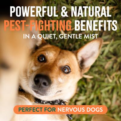 Show full view: TropiClean Natural* Flea + Tick Easy Mist Spray for Dogs, 14-fl oz bottle slide 3 of 8