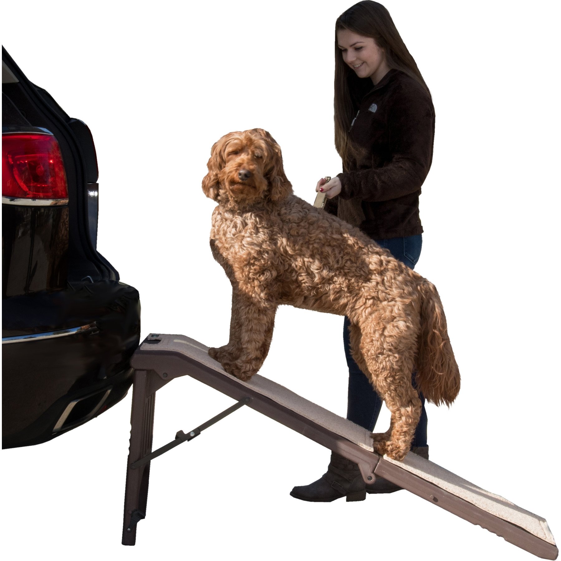 Pet Gear Free Standing Dog Ramp, Chocolate