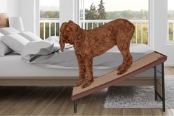 Pet Gear Ultra-Lite Free-Standing Dog Ramp with Supertrax, Chocolate