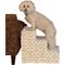 Show in main carousel: Pet Gear Trellis Print Designer 3-Step Dog Stairs, Natrural Beige slide 1 of 4